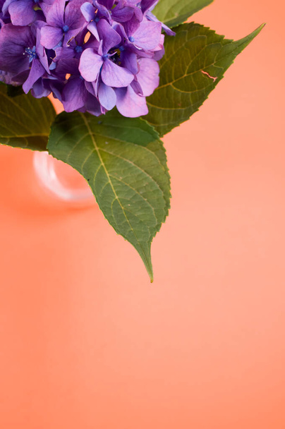 A vertical shot of purple hydrangeas in a vase on a peach surface with copyspace - Zdjęcie, obraz