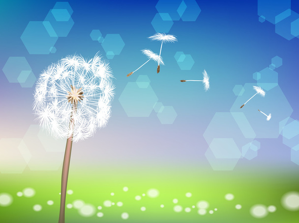 Pampeliška s pyly na zelené trávě - Vektor, obrázek