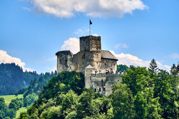 La belle vue panoramique aérienne du château de Niedzica également connu sous le nom de château de Dunajec et du lac Czorsztyn (polonais : Jezioro Czorsztynskie) est un réservoir artificiel sur la rivière Dunajec, au sud de la Pologne. - Photo, image
