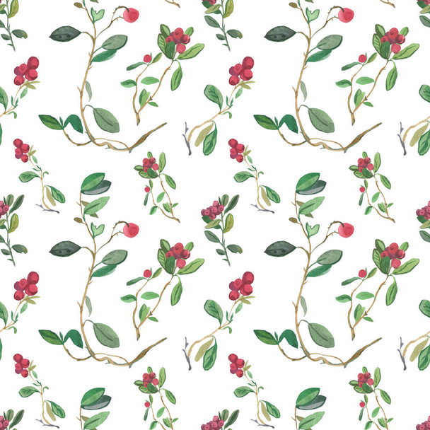Lingonberry watercolor seamless pattern on white background.Bright fall,Christmas minimalist prints with cranberries.Designs for wrapping paper,scrapbook paper,packaging,social media,textiles,fabric. - Photo, Image