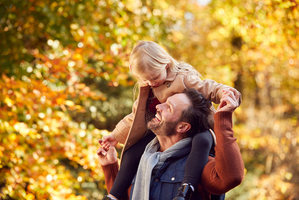 Батько грає в гру носіння дочки на плечах сімейної прогулянки вздовж треку восени
 - Фото, зображення