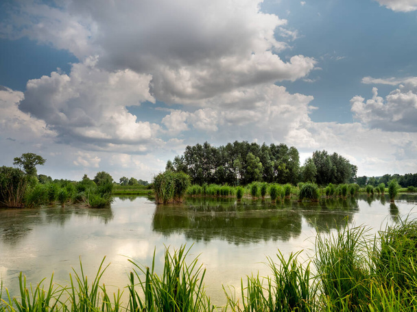 白い雲と青い空を背景に池の美しい景色 - 写真・画像