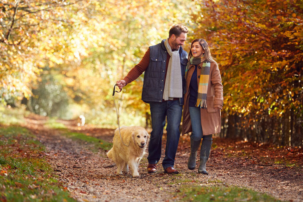 Couple Take Pet Golden Retriever Dog For Walk On Track In Autumn Countryside Holding Hands - Фото, изображение