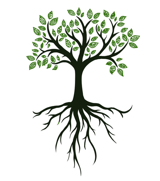 Символ дерева с корнями, настоящий ручной рисунок - Вектор,изображение
