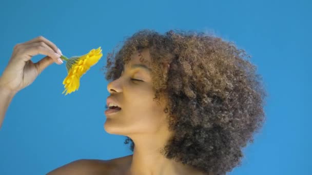 Tapasztalt modell rövid göndör haj pózol gazdaság virág - Felvétel, videó