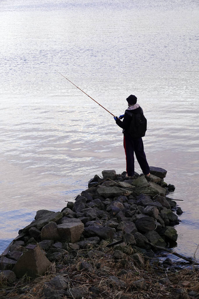 Kiev, Ucrania octubre 24, 2020: Un pescador atrapa un pez con una caña de la orilla del río - Foto, imagen