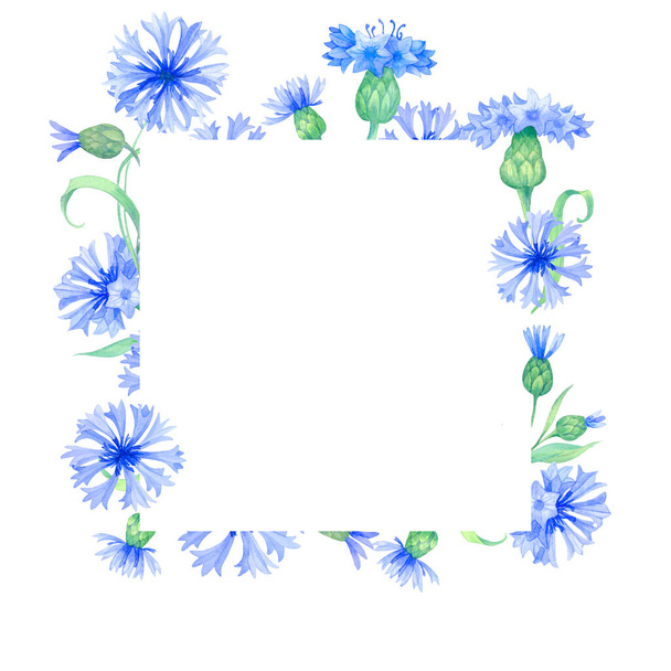 square frame with blue cornflower flowers, watercolor illustration with summer herbs, meadow flowers - Photo, Image