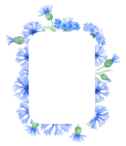 Round frame with blue cornflower flowers, a wreath of summer field grasses and leaves - Fotó, kép