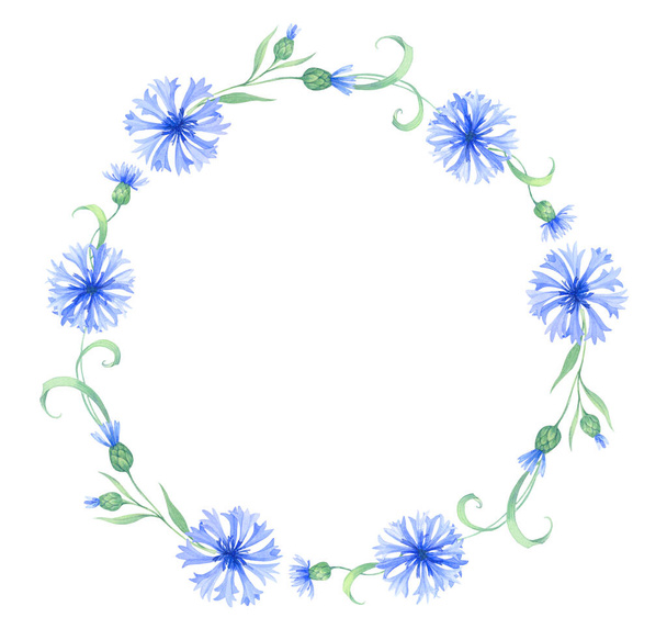 Round frame with blue cornflower flowers, a wreath of field grasses and leaves. watercolor illustration with summer herbs, meadow flowers - Photo, image