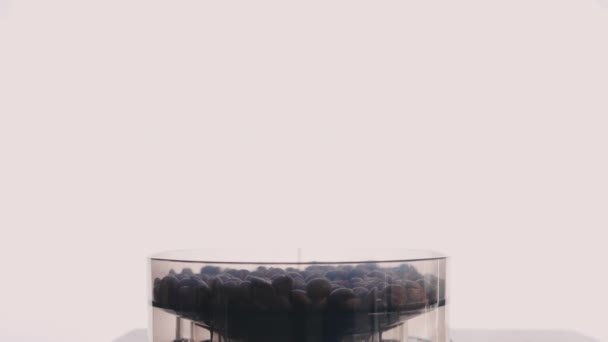 Кавові зерна і чашка у виготовленні чашки кави
 - Кадри, відео