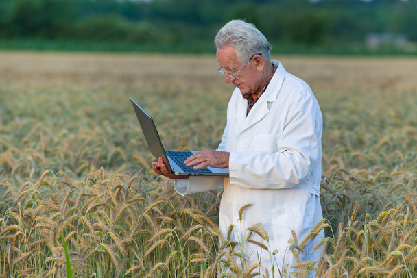 Agronomist with laptop - Photo, Image