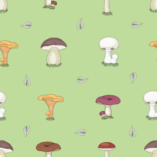 Disegnato a mano foresta funghi modello senza soluzione di continuità
 - Vettoriali, immagini