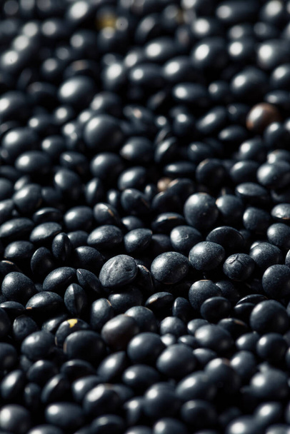 Healthy Organic Black Lentils in a Bowl - Φωτογραφία, εικόνα