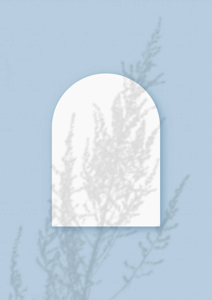 Mockup με φυτικές σκιές επικολλάται σε ένα φύλλο σε σχήμα καμάρας από υφή λευκό χαρτί σε μπλε φόντο πίνακα. Κατακόρυφος προσανατολισμός - Φωτογραφία, εικόνα
