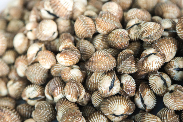 many Cockles shellfish put together show up on tray for sell - Foto, imagen