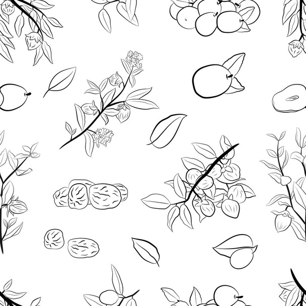 Dalları, meyveleri, çiçekleri ve kokoba yapraklarıyla kusursuz bir desen. El çizimi jojoba seti. Jojoba bitki koleksiyonu. Menü, etiket, paketleme tasarımı için elementler. - Vektör, Görsel
