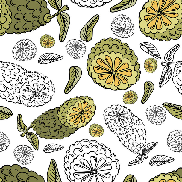 Wapno Kaffir ręcznie rysowane bezszwowy wzór w kolorze zielonym i żółtym i czarne kontury na białym tle dla tekstyliów, nadruku, tła, podkreśla. Ilustracja wektora - Wektor, obraz