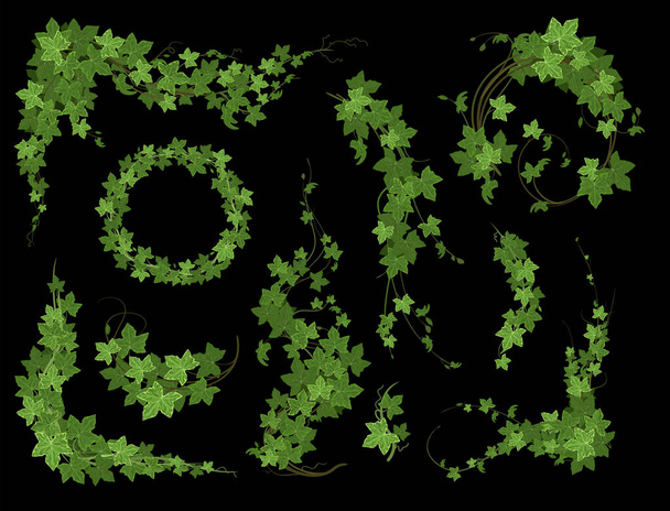 Zusammensetzung der Efeu-Kletterpflanze - Vektor, Bild
