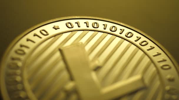 Makro snímek litekovské mince Šifrovací mince - Záběry, video