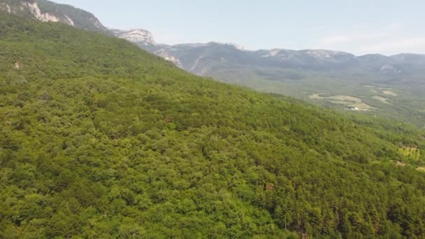 montañas en el verde vista desde el aire. video de un quadrocopter - Imágenes, Vídeo