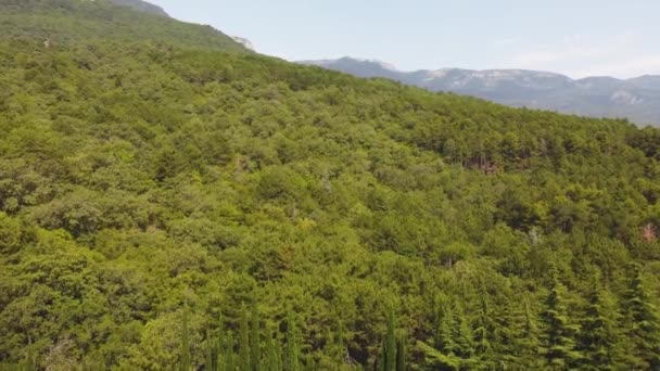 góry w zieleni widok z powietrza. wideo z quadrocoptera - Materiał filmowy, wideo