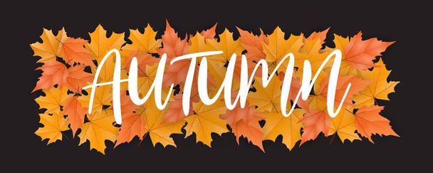 Beautiful autumn leaves background - ベクター画像