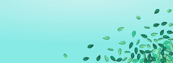 Green Foliage Organic Vector Panoramic Blue Background Backdrop. Wind Greens Design. Swamp Leaves Flying Plant. Leaf Transparent Template. - Zdjęcie, obraz