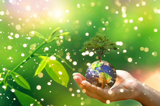 Hand hält Erde mit Baum vor Naturkulisse, Umweltkonzept - Foto, Bild