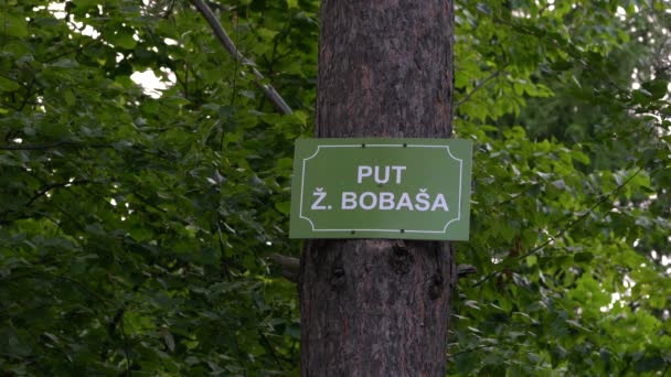 Board on tree in forest with name of road - Filmmaterial, Video