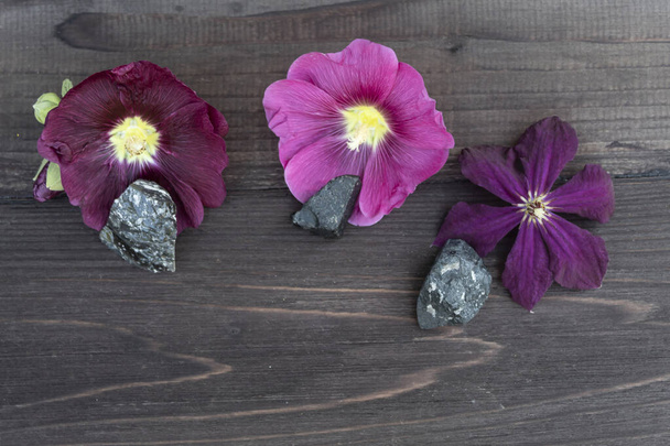 Σε σκούρο ξύλινο φόντο, υπάρχουν τρία φωτεινά λουλούδια και τρεις ημιπολύτιμοι λίθοι - τεκτίτης, οψιανός, χαλκοπυρίτης. - Φωτογραφία, εικόνα