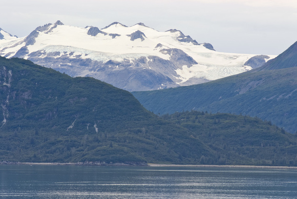 Parque Nacional Glaciar Bay
 - Foto, imagen
