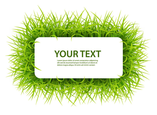 Sign with text space of Young Grass. Suitable for nature concept, spring, and summer holiday. Vector Illustration - Διάνυσμα, εικόνα