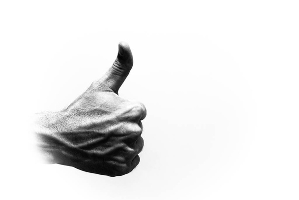  Права рука кавказького чоловіка з великим пальцем направлена вгору на біле тло. Чорно - біла фотографія - Фото, зображення