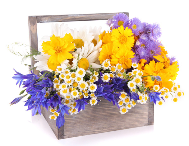 Beautiful flowers in crate - Φωτογραφία, εικόνα