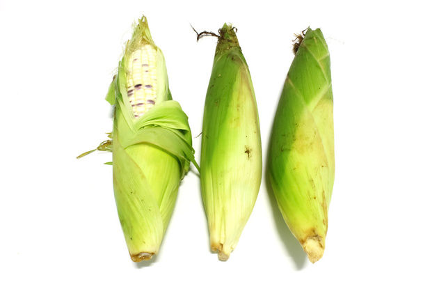 kukuřice na vaření - Fotografie, Obrázek