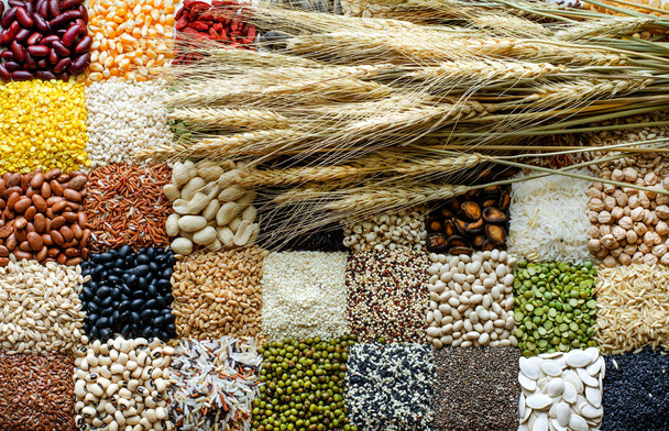 Satranç tahtasındaki çeşitli doğal tahıl ve tahıl tohumu arka planında kuru buğday demeti - Fotoğraf, Görsel