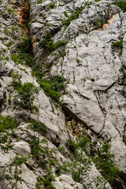 A closeup of cracked rock texture - Photo, Image