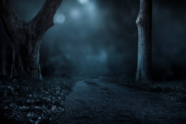Ένας χωματόδρομος διασχίζει ένα αγροτικό δάσος στο σκοτάδι τη νύχτα.. - Φωτογραφία, εικόνα