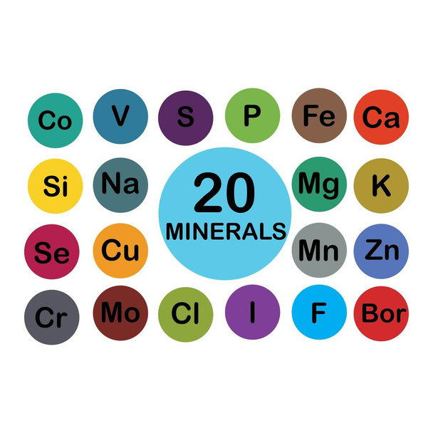 minerals microelements and macro elements, useful for human health. Fundamentals of healthy eating and healthy lifestyles. - Vector, Image