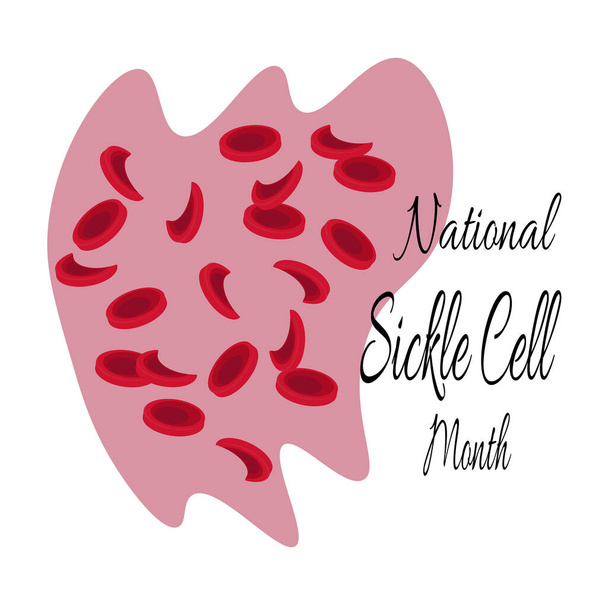 Mês Nacional de Células Falciformes, imagem esquemática de células sanguíneas para ilustração do vetor de banner - Vetor, Imagem