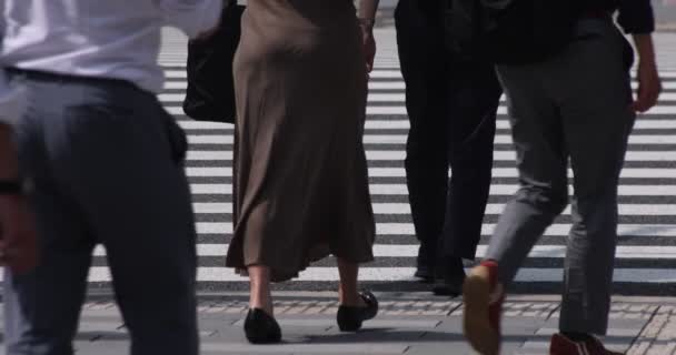 Liiketoimintakaupungin risteyksessä kävelevien ihmisten ruumiinosien hidas liike - Materiaali, video