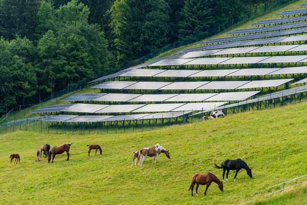 背景に高山の山々と太陽光発電所、高山草原、牧草地や放牧馬。夏のアルプスの田園風景の中に太陽電池パネル。地球規模の太陽エネルギーの持続可能な開発. - 写真・画像