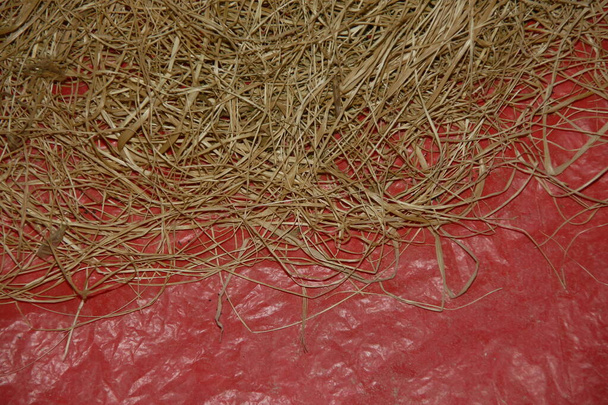 Hay or dry grass on a red oilcloth - Photo, Image