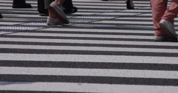 Замедленное движение частей тела ходячих людей на перекрестке в деловом городе - Кадры, видео