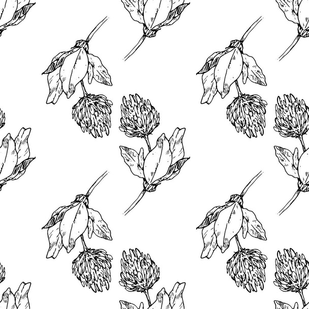 Vector seamless pattern of flowering clover. a pattern of a hand-drawn sketch-style curved meadow clover with leaves and a flower black outline in different directions on a white background for a design template. botanical illustration - Vecteur, image