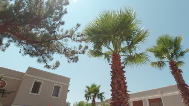 Palms Hotel Al aire libre - Imágenes, Vídeo