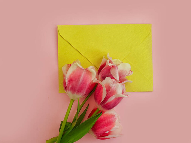 envelope flower tulip on colored background - Фото, изображение