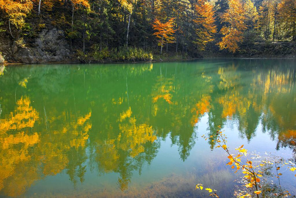 odraz ve vodě podzimní krajiny - Fotografie, Obrázek