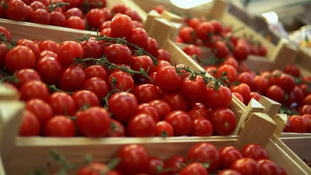Женщины вручную выбирают помидоры черри в супермаркете или на базаре, покупая продукты - Кадры, видео