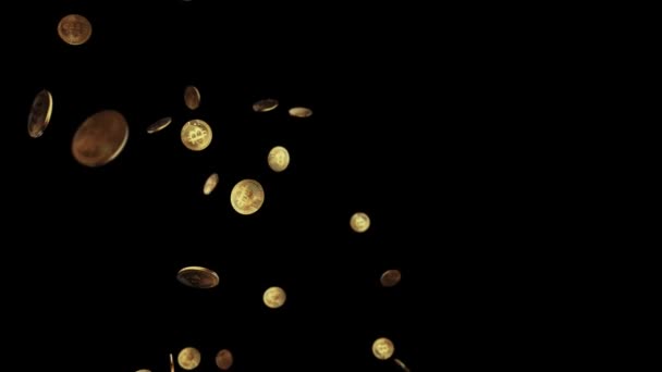 Falling golden bitcoins on dark background. e-commerce concept. 3d Cryptocurrency. - Video